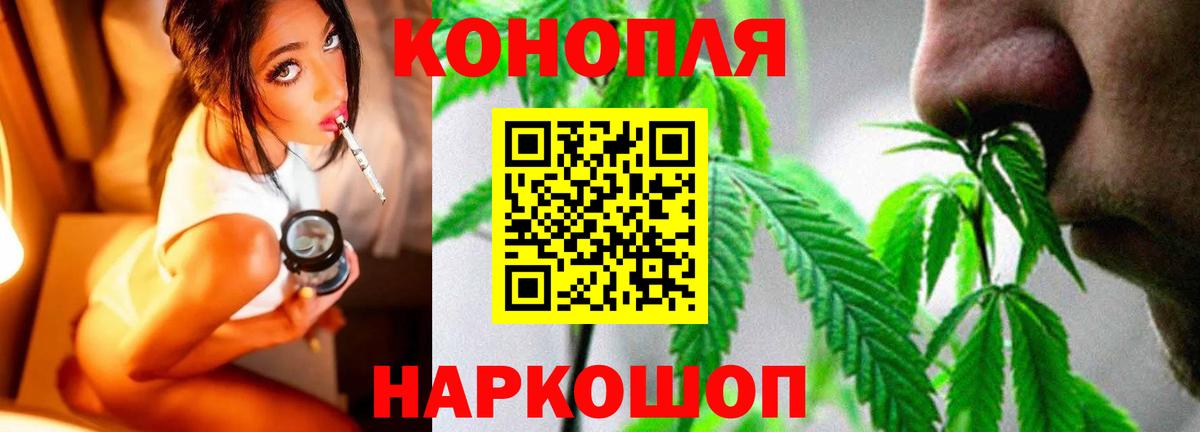 Марихуана индика Шахты